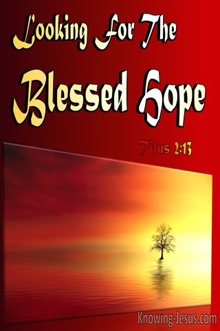 Titus 2:13 Looking For The Blessed Hope (maroon)